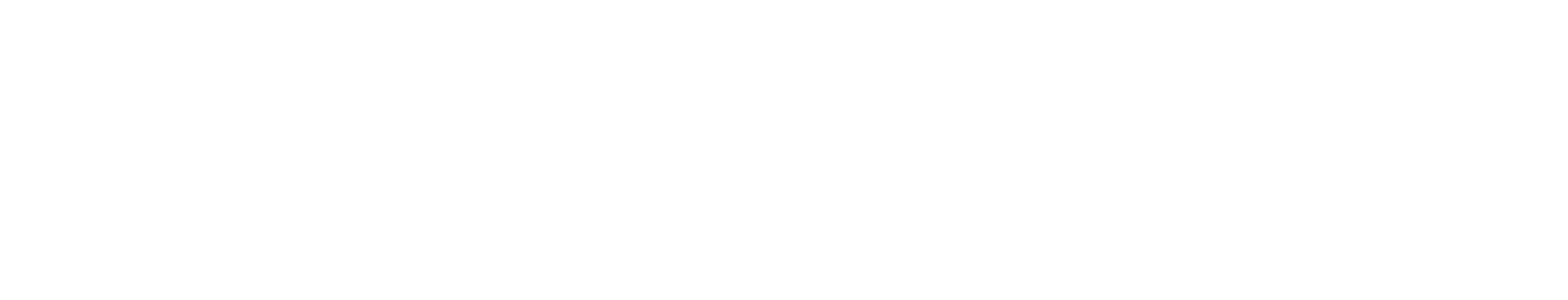 TSR Tech Services Logo